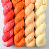 Chasing Dawn, Coreopsis, Jonquil, Zest - Miss Babs Caroline Quartet