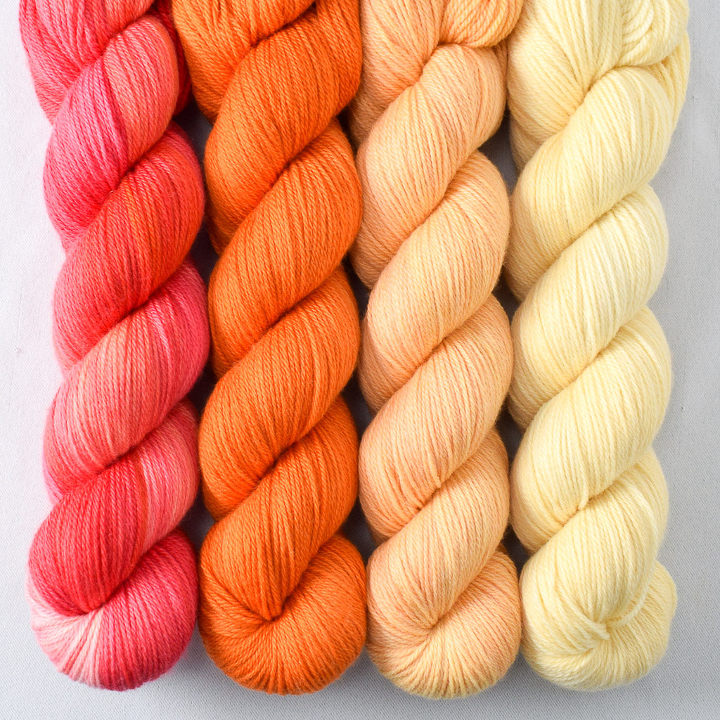 Chasing Dawn, Coreopsis, Jonquil, Zest - Miss Babs Caroline Quartet