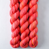 Chasing Dawn - Miss Babs Yowza Mini superwash Merino wool yarn