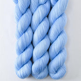 Chicory - Miss Babs Tarte wool blend sock yarn