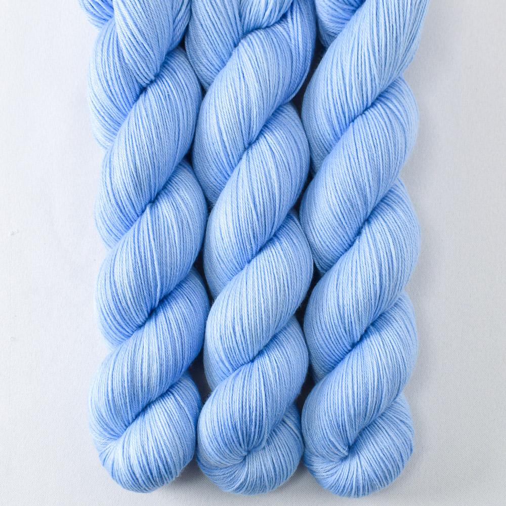 Chicory - Miss Babs Tarte wool blend sock yarn