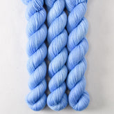 Chicory - Miss Babs Yowza Mini superwash Merino wool yarn