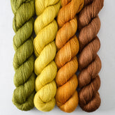 Chocolate, Cumin, Moss, Old Gold - Miss Babs Yet Quartet