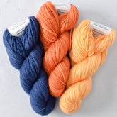 Choose Your Gnome Adventure: Navy, Torchbearer, Coreopsis - Miss Babs Toe Trio