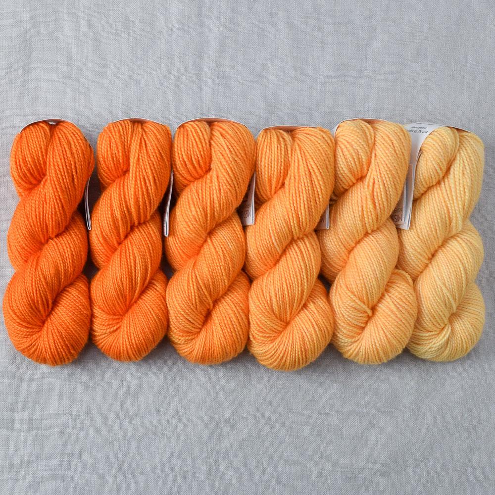 Citrus - Gradient Set