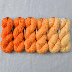 Citrus - Gradient Set