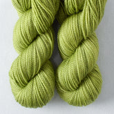 Clearing - Miss Babs Yummy 2-Ply Toes superwash Merino wool yarn