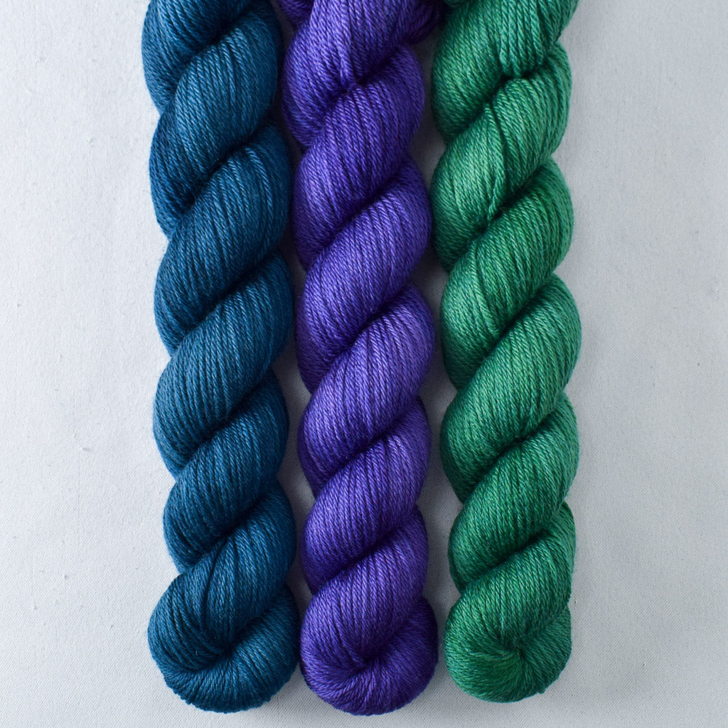 Clematis, Franklin, Oz - Miss Babs Yowza Mini Trio