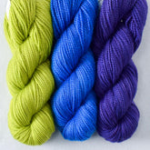 Clematis, Ghoulish, Moroccan Door - Miss Babs Toe Trio