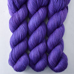 Clematis - Killington 350