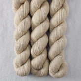 Coastal Fog - Miss Babs Katahdin 437 superwash BFL wool yarn