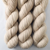 Coastal Walk - Miss Babs Intrepid yarn