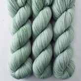 Coconut Bay - Miss Babs Intrepid yarn