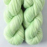Cool Cat - Miss Babs Yummy 2-Ply Toes superwash Merino wool yarn