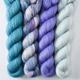 Coos Bay, Coventry, Light Clematis, Mariposa - Miss Babs Yet Quartet