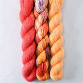 Coral, Coreopsis, Daisies - Miss Babs Yowza Mini Trio