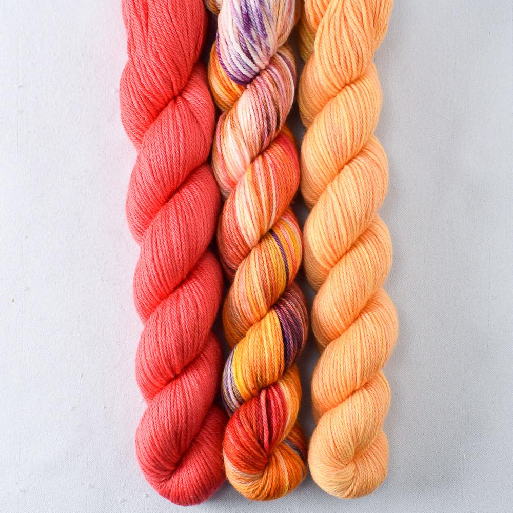 Coral, Coreopsis, Daisies - Miss Babs Yowza Mini Trio