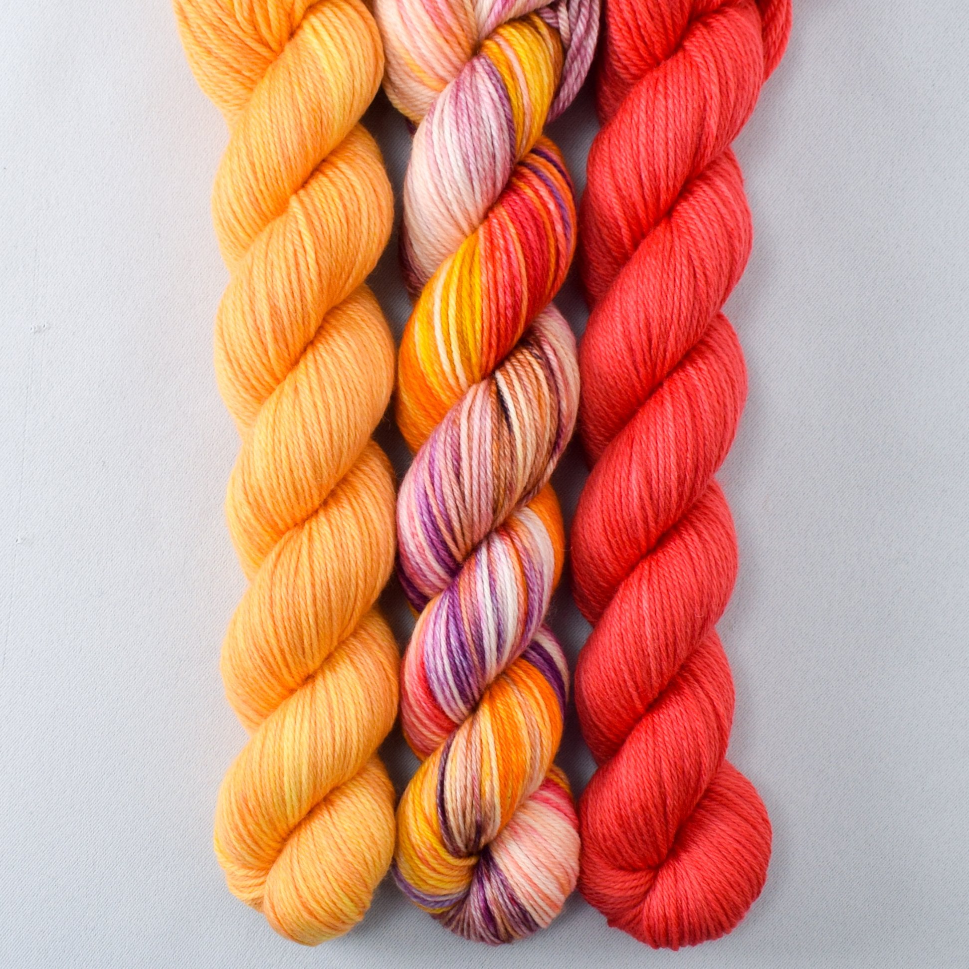 Coral, Coreospsis, Daisies - MDSW 2021 - Miss Babs Yowza Mini Trio