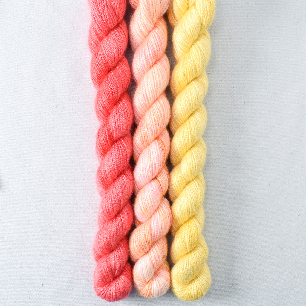 Coral, Dancing Spirit, Sunny - Miss Babs Sojourn Trio