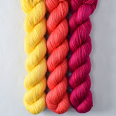 Coral, Dark Cassiopeia, Sunny - Miss Babs Yowza Mini Trio