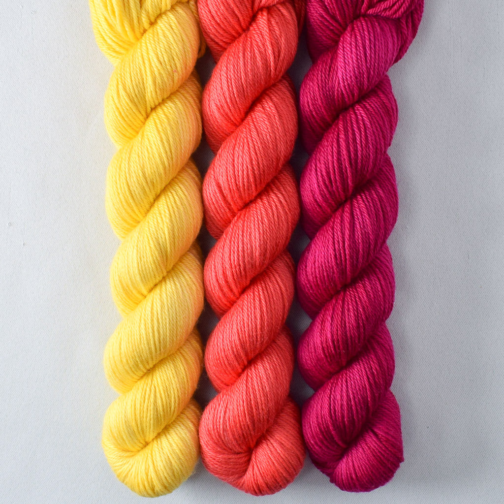 Coral, Dark Cassiopeia, Sunny - Miss Babs Yowza Mini Trio