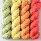Coral, Frog Belly, Sugar Maple 3, Sunny - Miss Babs Caroline Quartet