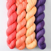 Coral, Lilacs, Spicy Papaya, Whitsunday - Miss Babs Yet Quartet