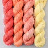 Coral, Spicy Papaya, Tangy, Walking on Sunshine - Miss Babs Yummy 2-Ply Quartet