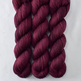 Cordovan - Miss Babs Caroline merino-cashmere-nylon yarn