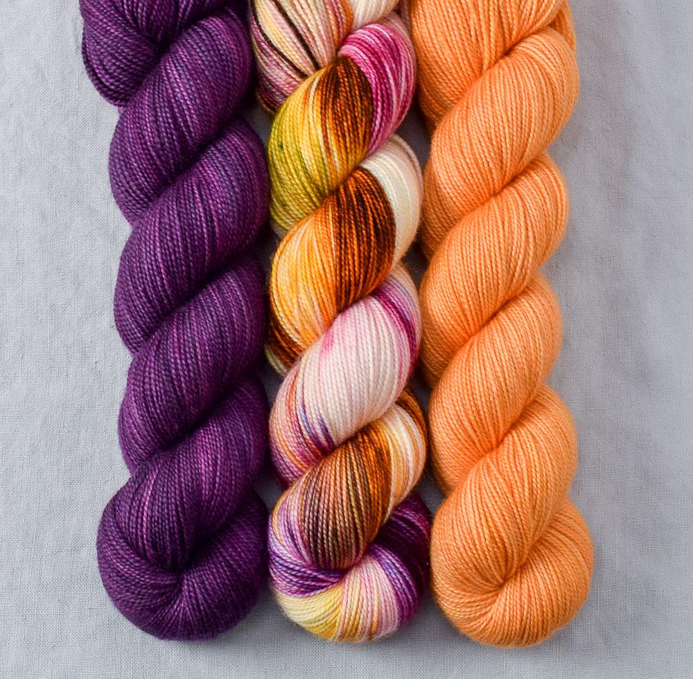 Coreopsis, Garden Party, Spiked Punch - Miss Babs Yummy 2-Ply Trio