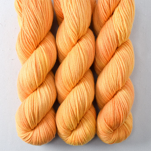 Coreopsis - Miss Babs Intrepid yarn