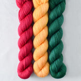 Coreopsis, Oz , Scarlet Pimpernel - Miss Babs Yowza Mini Trio