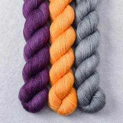 Coreopsis, Spiked Punch, Slate - Yowza Mini Trio