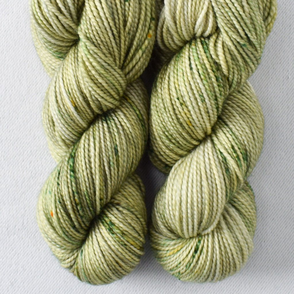 Coriander - Miss Babs Yummy 2-Ply Toes superwash Merino wool yarn