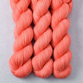 Correa - Miss Babs Yummy 2-Ply superwash Merino wool yarn