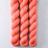 Correa - Miss Babs Yowza Mini superwash Merino wool yarn