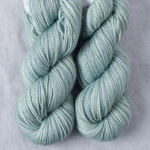 Coventry - Miss Babs Yummy 2-Ply Toes superwash Merino wool yarn