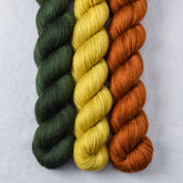 Cumin, Nori, Roasted Pumpkin - Miss Babs Yowza Mini Trio