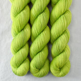 Curiouser and Curiouser - Miss Babs Yummy 2-Ply superwash Merino wool yarn