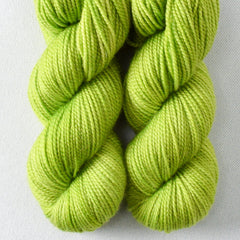 Curiouser and Curiouser - 2-Ply Toes