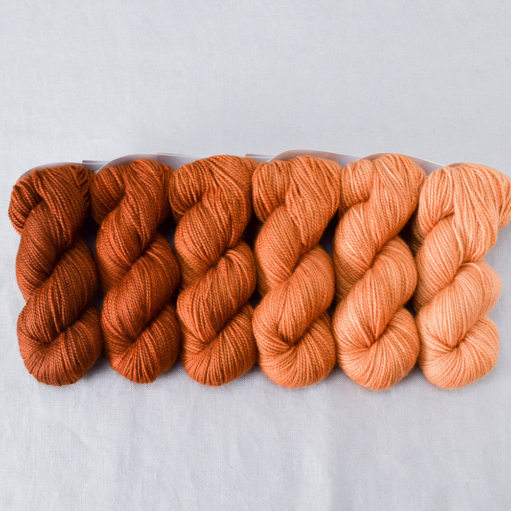 Cygnus - Miss Babs Gradient Set