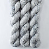 Daguerreotype - Miss Babs Estrellita fingering weight superwash merino and Lurex yarn