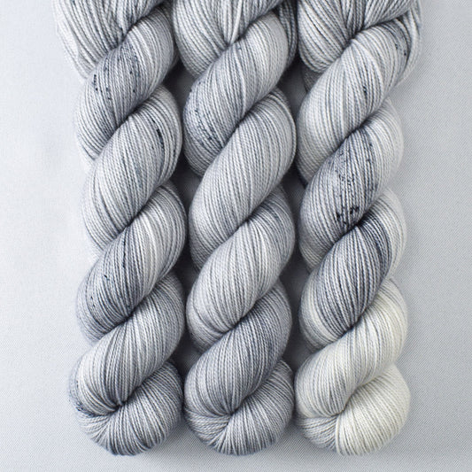 Daguerreotype - Yummy 2-Ply - Babette