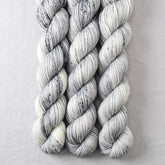 Daguerreotype - Miss Babs Yowza Mini superwash Merino wool yarn