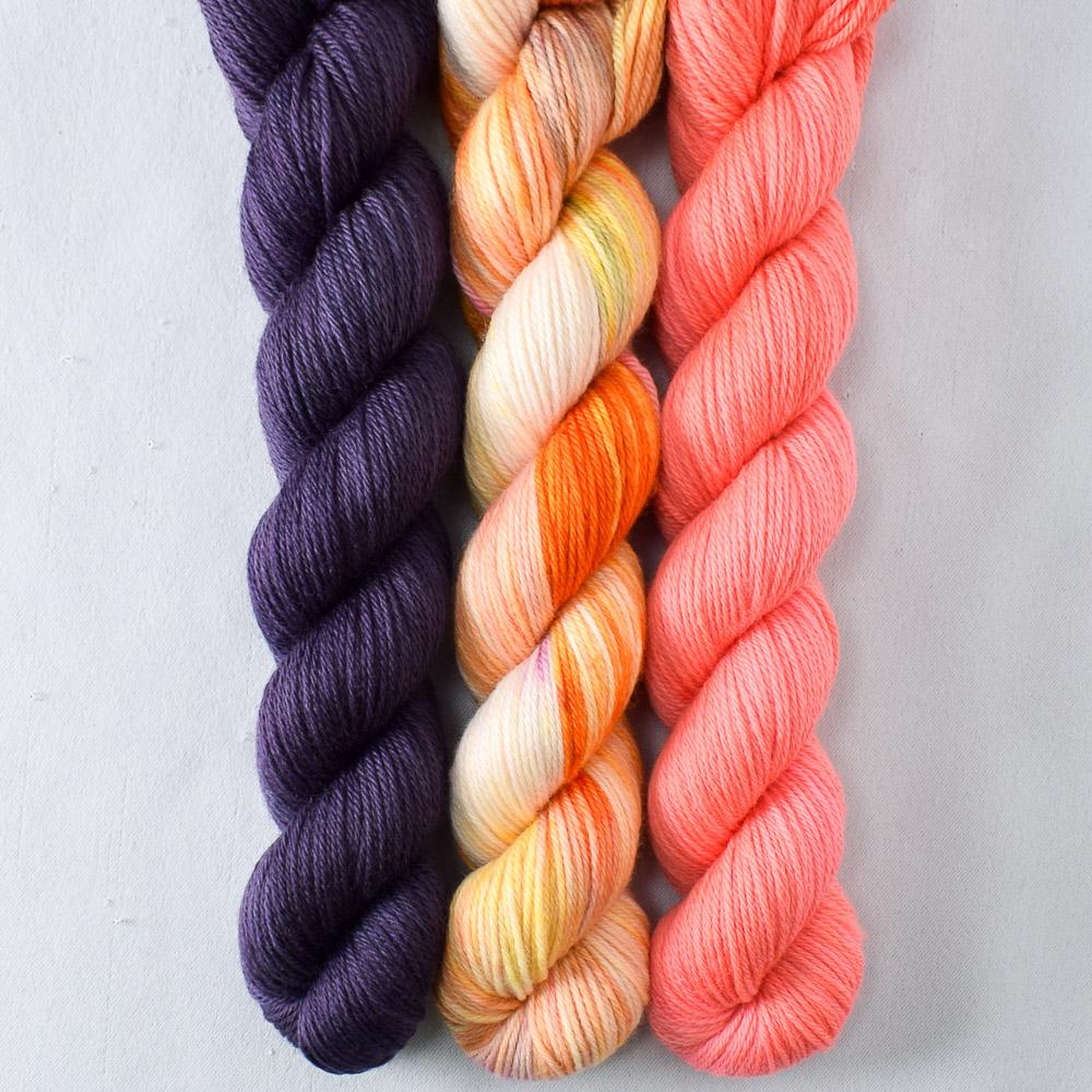 Daisies, Dusk, Pink Grapefruit - Miss Babs Yowza Mini Trio