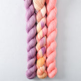 Daisies, Fig, Pink Grapefruit - Miss Babs Sojourn Trio