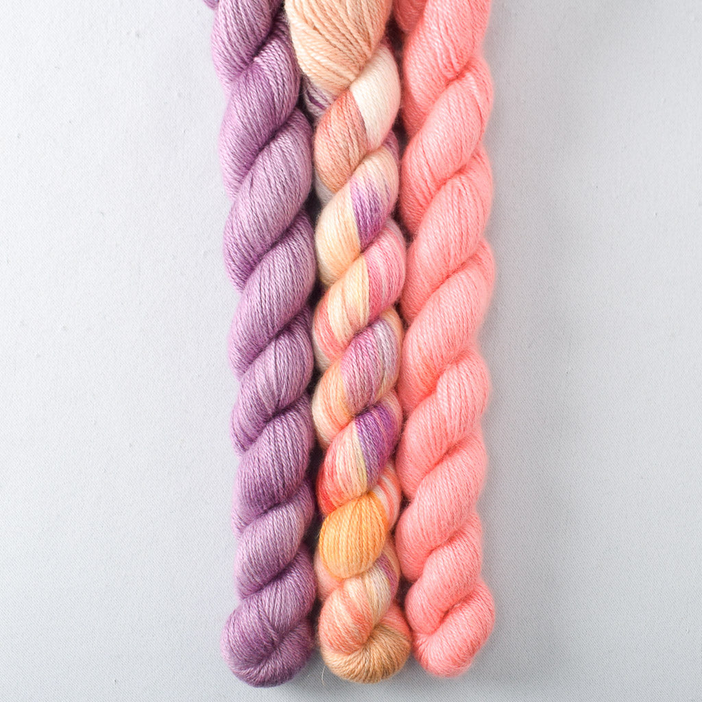 Daisies, Fig, Pink Grapefruit - Miss Babs Sojourn Trio