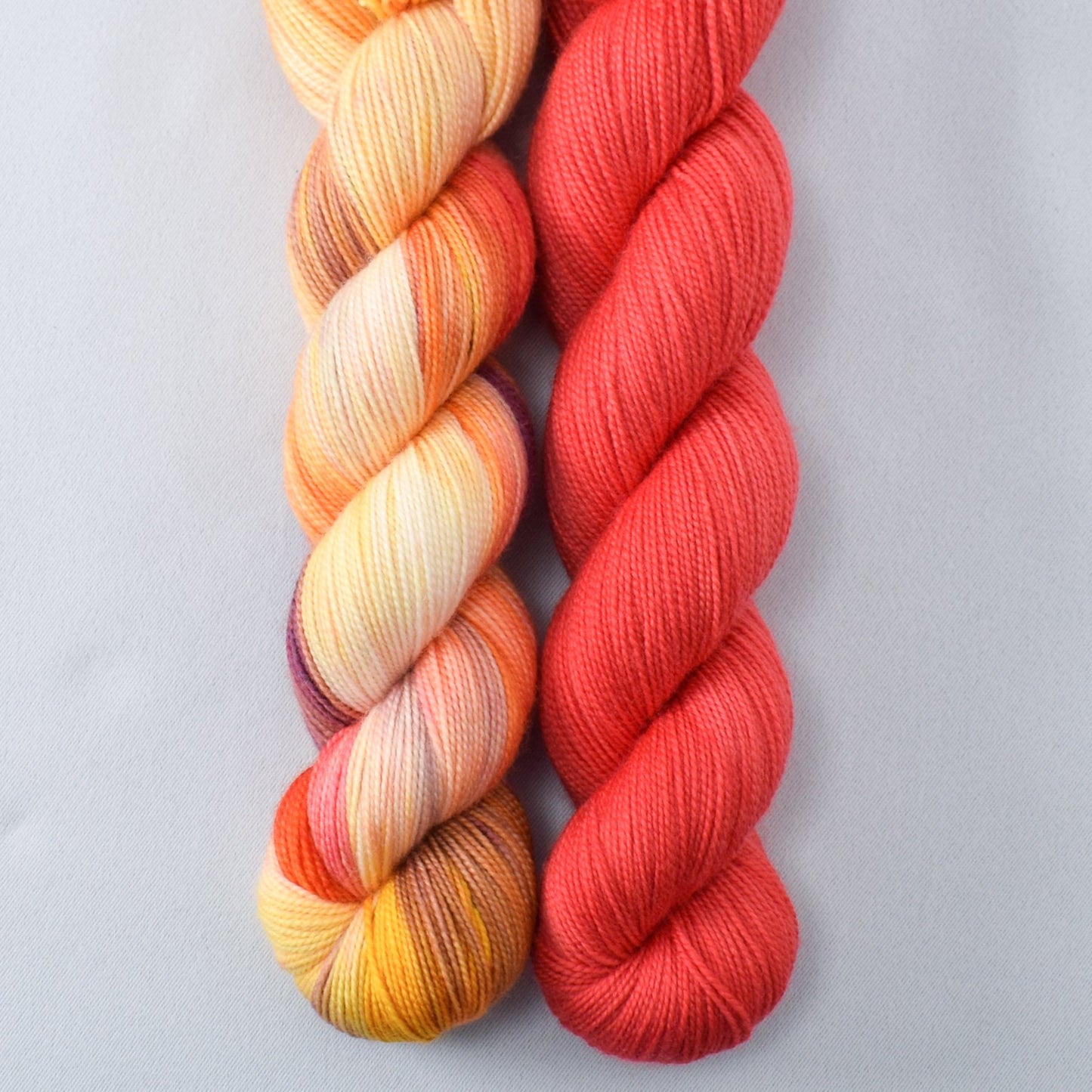 Daisies - MDSW 2021, Coral - Miss Babs 2-Ply Duo