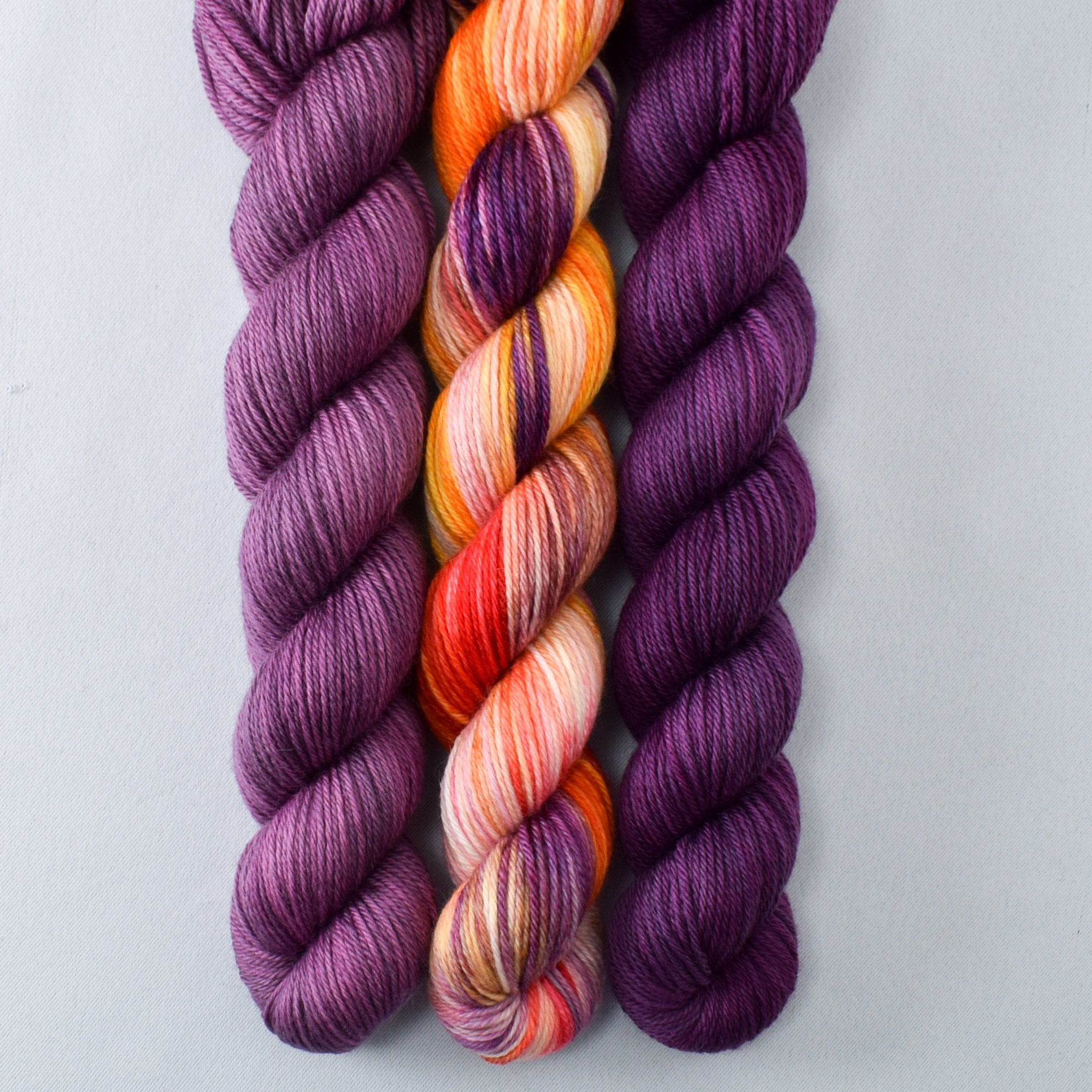 Daisies - MDSW 2021, Fig, Sangria - Miss Babs Yowza Mini Trio