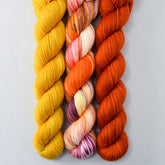 Daisies - MDSW 2021, Goldenrod, Supernova - Miss Babs Yowza Mini Trio